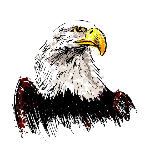 Dibujo a mano de color águila — Archivo Imágenes Vectoriales