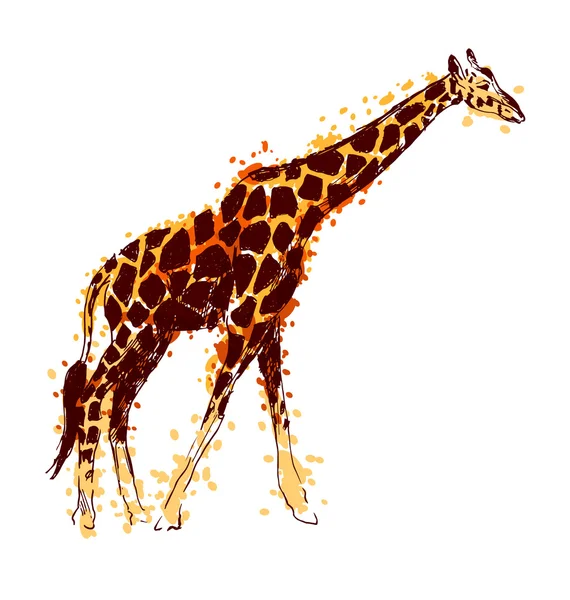 Giraffa da disegno a mano colorata — Vettoriale Stock