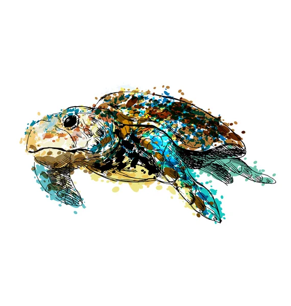 Warna tangan menggambar caretta - Stok Vektor