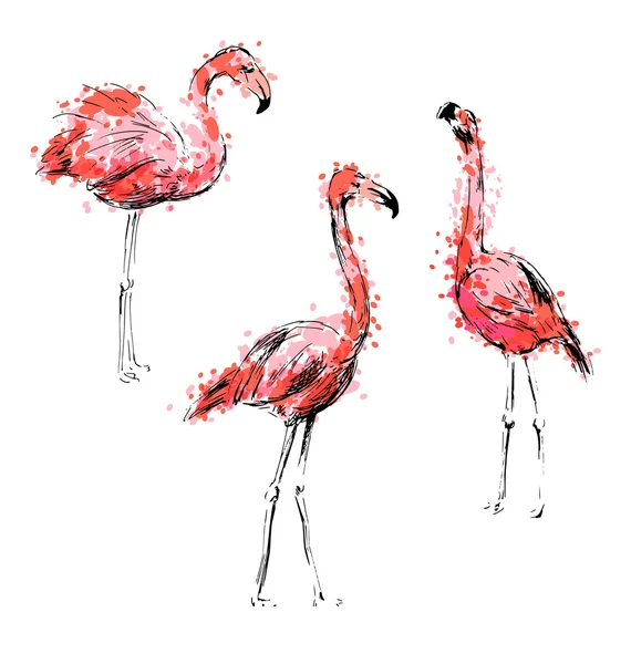 Dibujo a mano coloreado flamencos — Archivo Imágenes Vectoriales