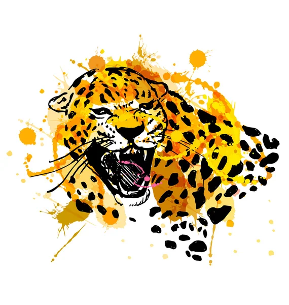 Cabeza de bosquejo de mano de color rugiente jaguar — Vector de stock