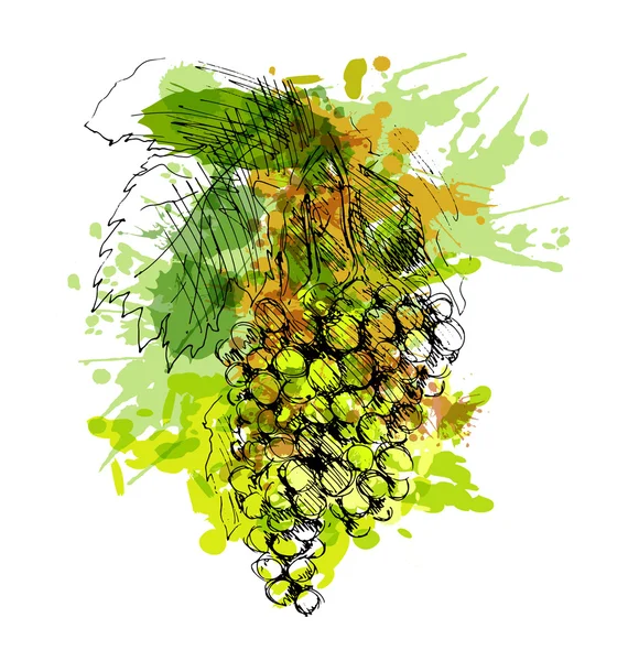 Цветной виноград ручной работы — стоковый вектор