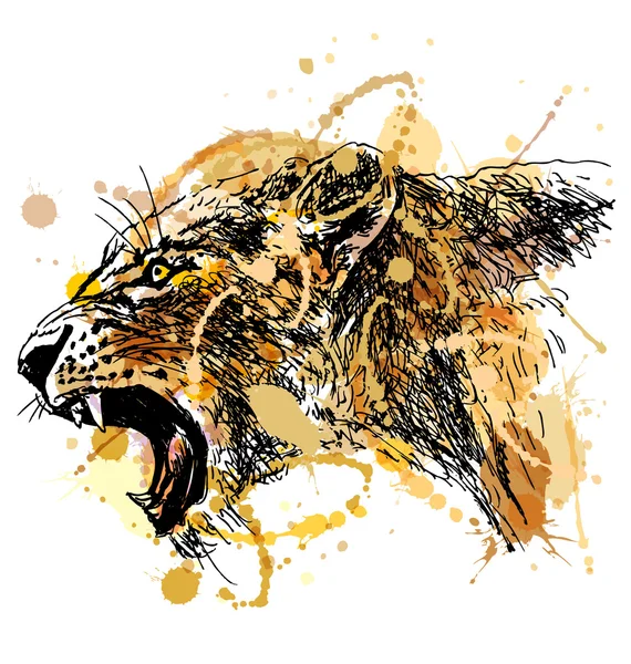 Desenho de mão colorido rugindo cabeça de leoa —  Vetores de Stock