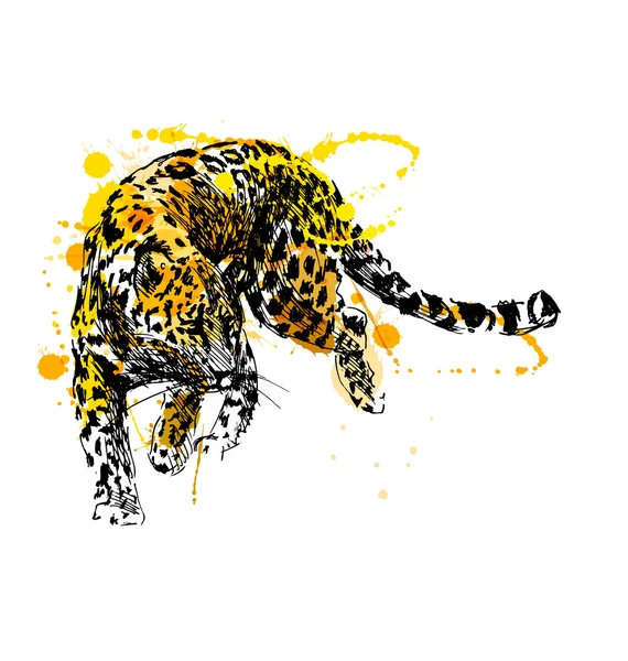 Dibujo a mano de color leopardo — Archivo Imágenes Vectoriales