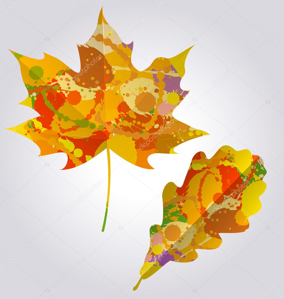 Vector illustration of colorful autumn leaves