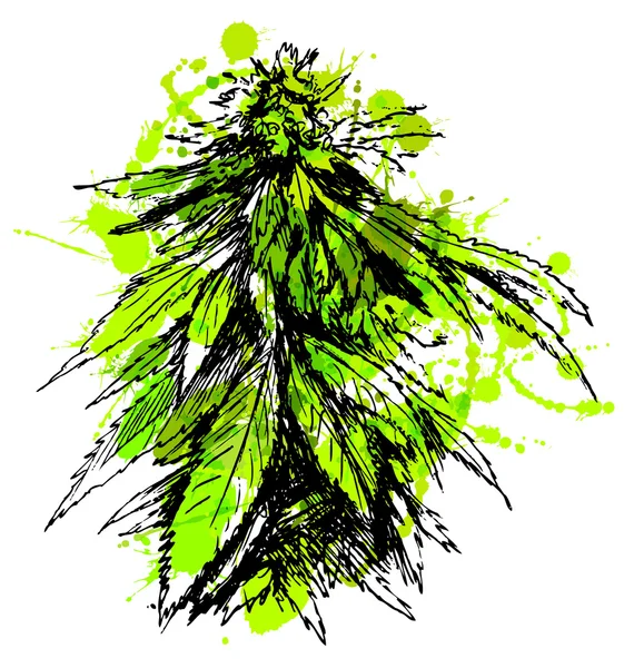 Kolorowe ręcznie szkic marihuany — Wektor stockowy