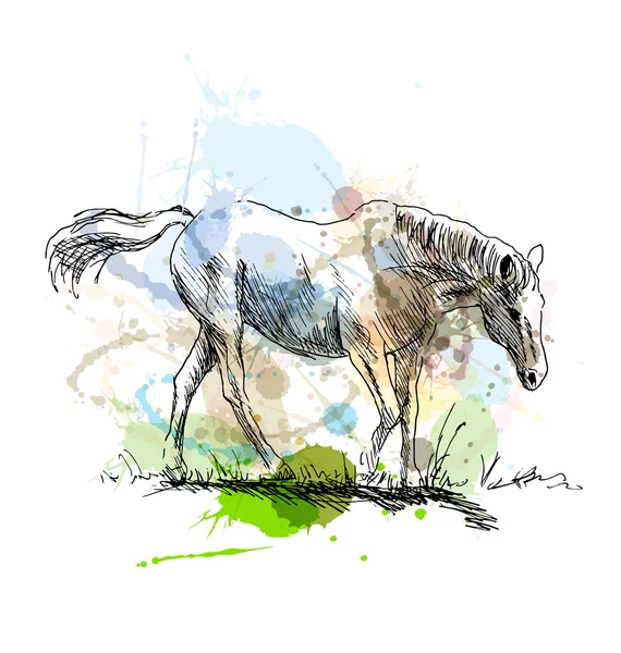 Esbozo a mano de color de un caballo blanco — Vector de stock