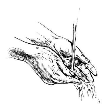 El çizimi, el yıkama. Vektör illüstrasyonu.