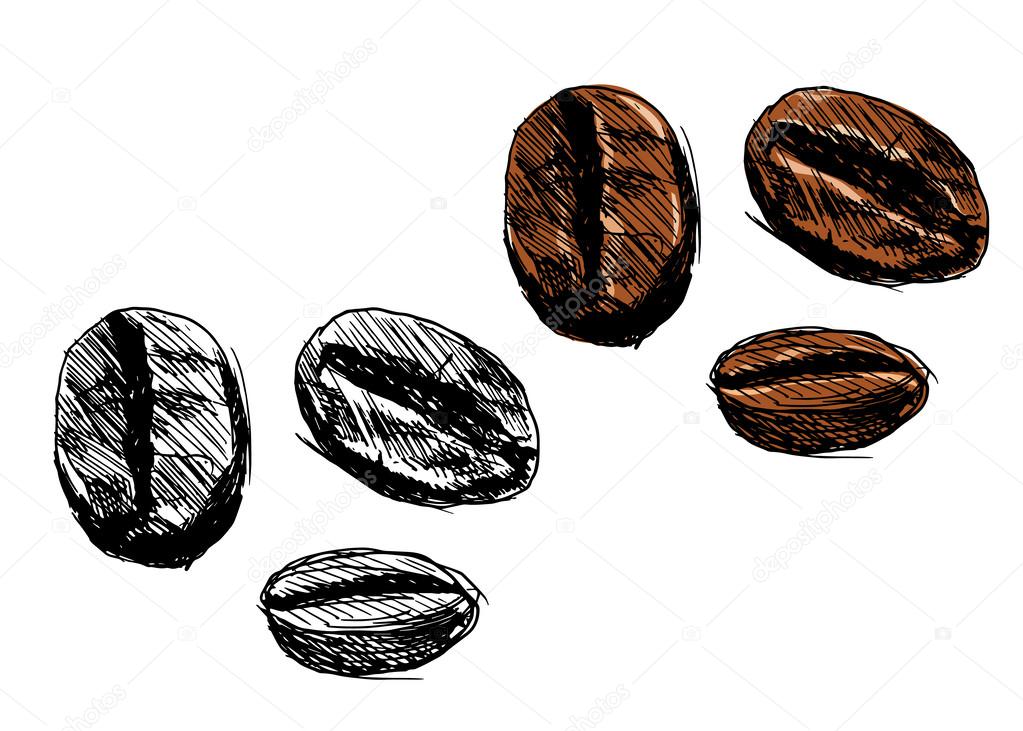 Vector illustration of coffee beans