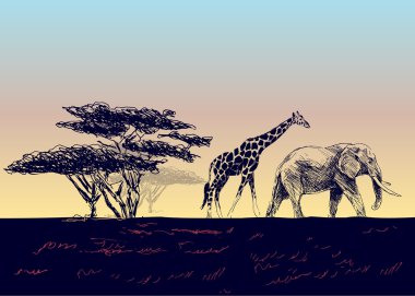 Afrika peyzaj