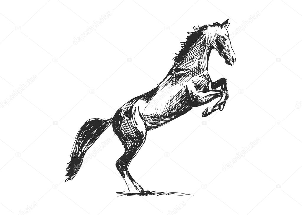 Drawing horse