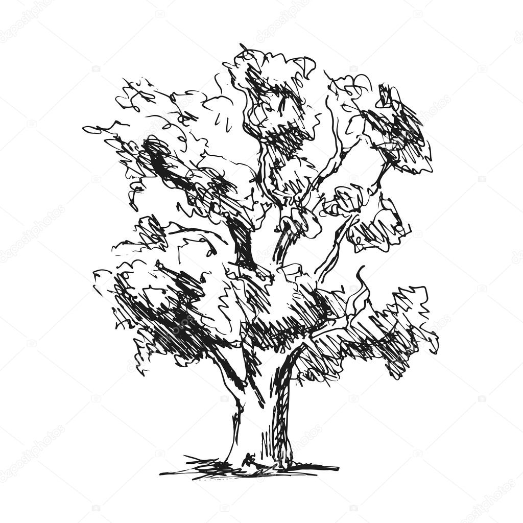 Hand sketch tree