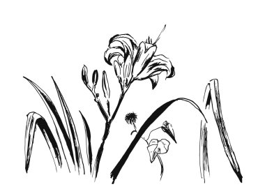 çiçek çizilmiş arka plan