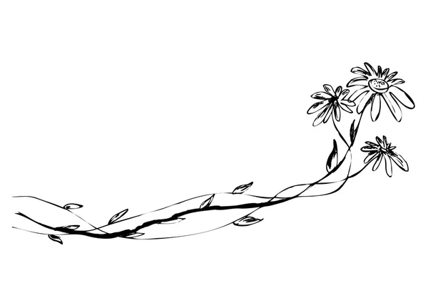 Linea di mano schizzo fiori — Vettoriale Stock