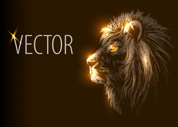 Vector background with lion head — Stock Vector