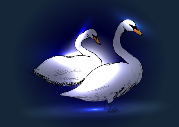 Swans on a blue background