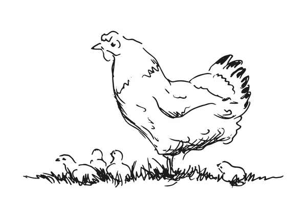 Slepice s kuřaty — Stockový vektor