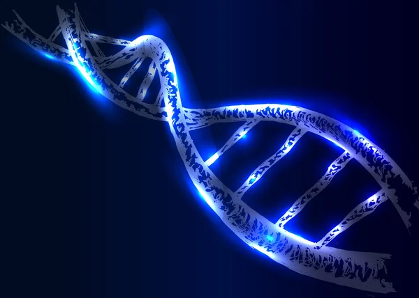 Структуру ДНК — стоковий вектор