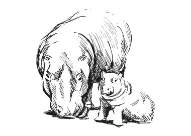 Su aygırı bir bebekle