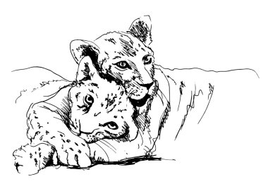 Free Free 123 Baby Lion Cub Svg SVG PNG EPS DXF File