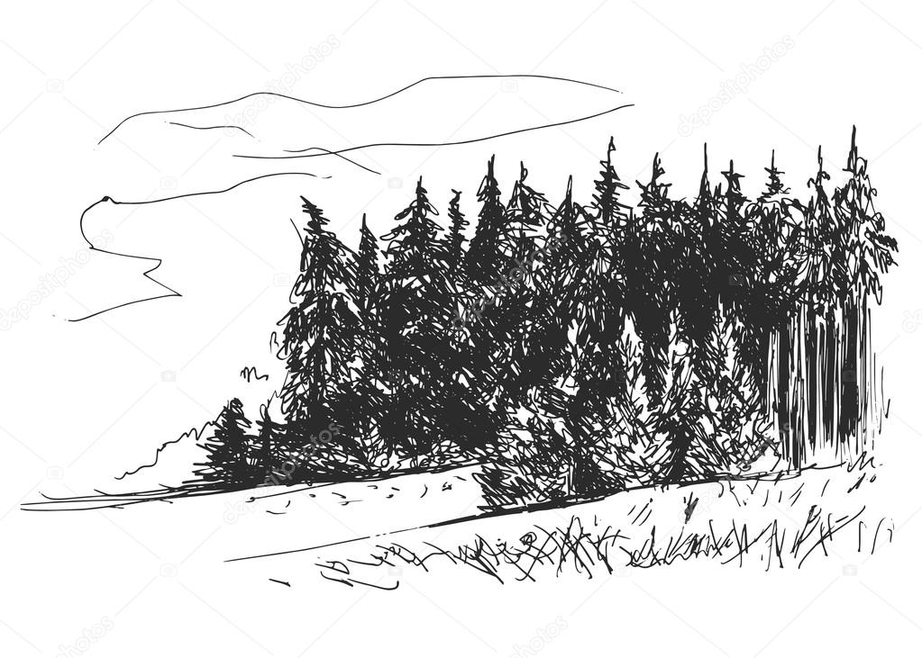 Hand sketch forest
