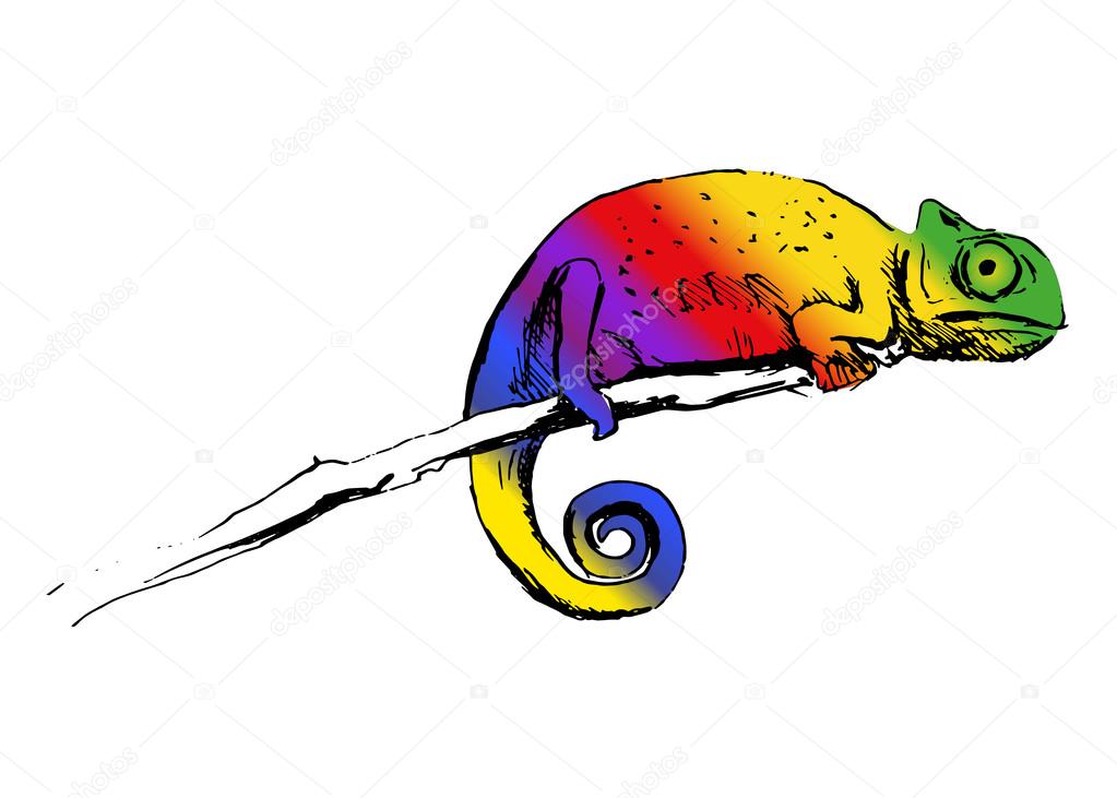 hand colored sketch chameleon