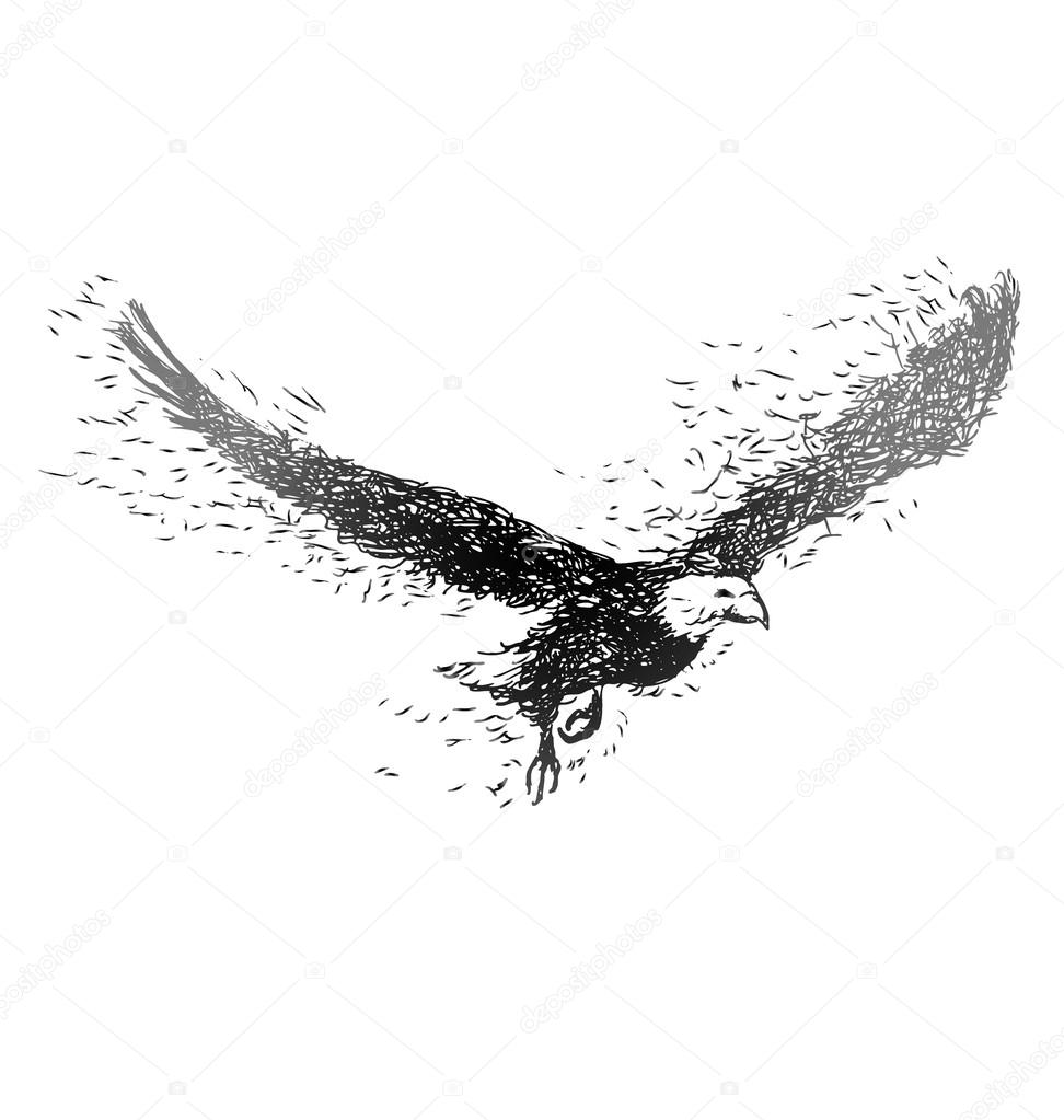 Hand drawing flying eagle