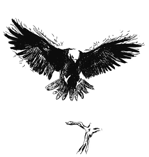 Esbozo de mano águila — Vector de stock
