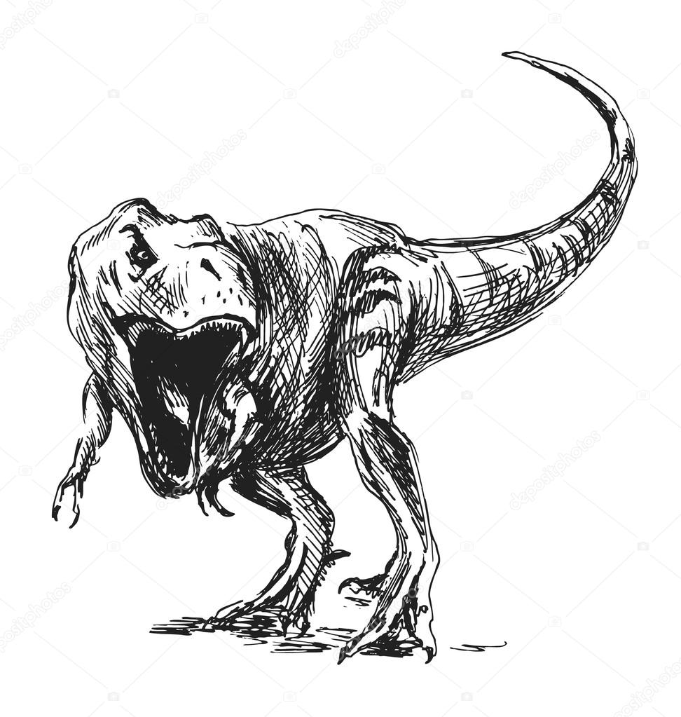 Hand sketch tyrannosaurus