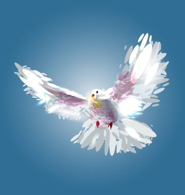 Bir güvercin vektör çizim