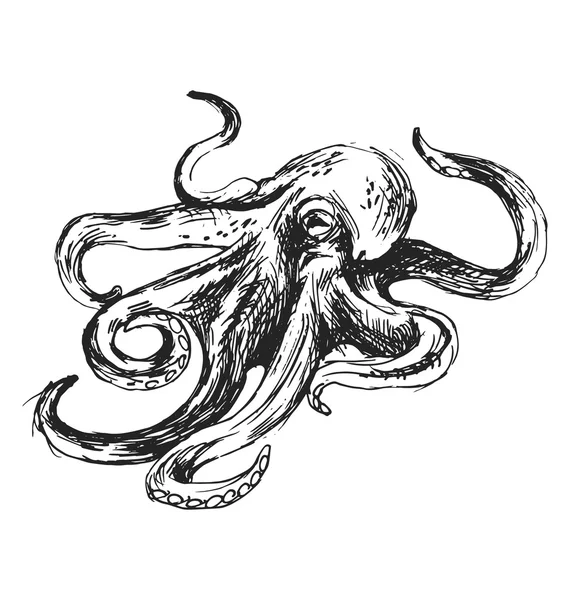 Hand sketch octopus — Stock Vector