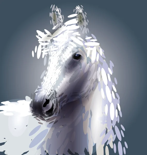 Ilustração vetorial da cabeça de um cavalo — Vetor de Stock