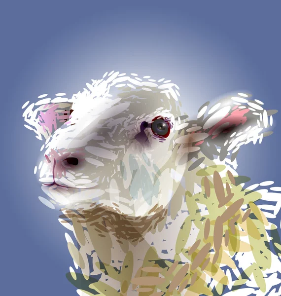 Vectorillustratie van een hoofd van de schapen — Stockvector