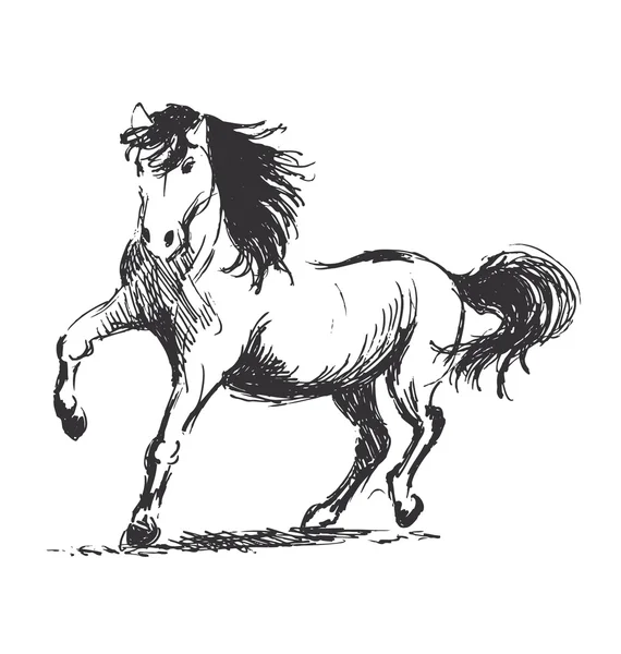 Cheval de croquis main — Image vectorielle