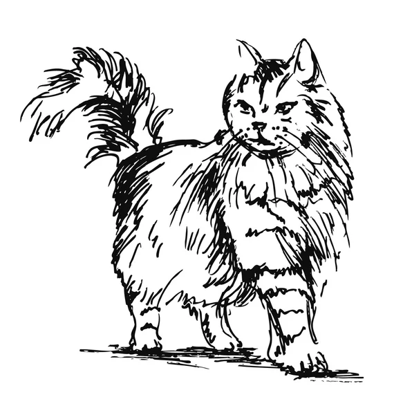 Mano boceto de pie gato — Archivo Imágenes Vectoriales