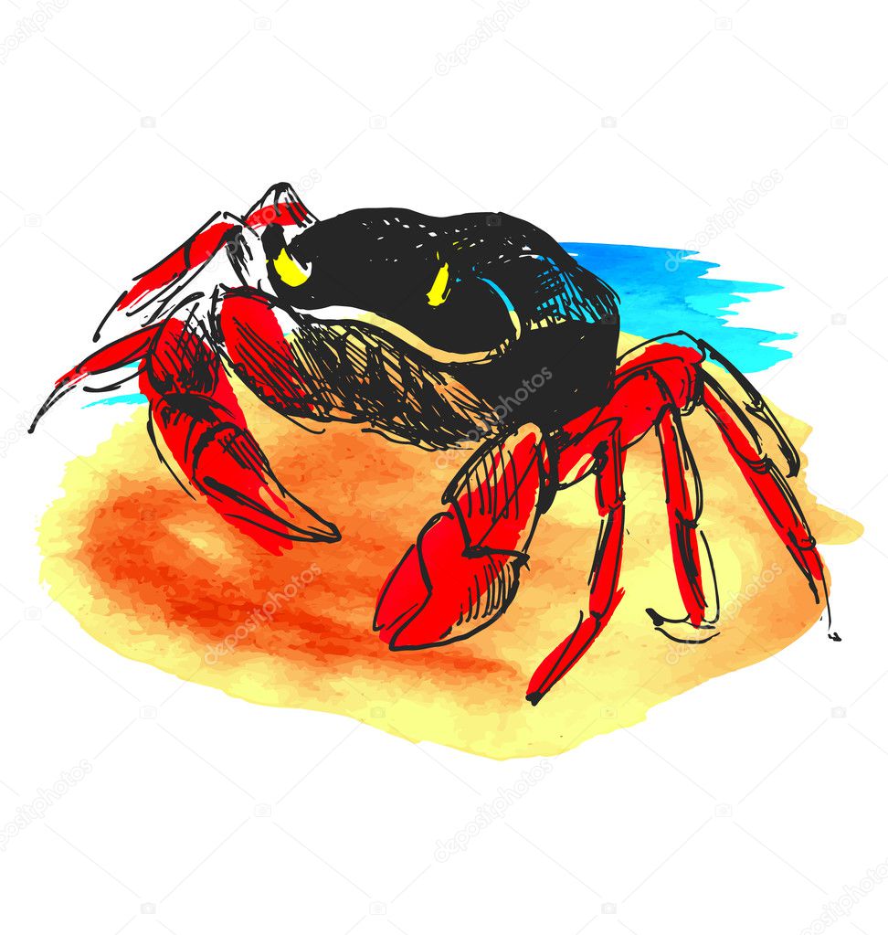Colored hand sketch crab