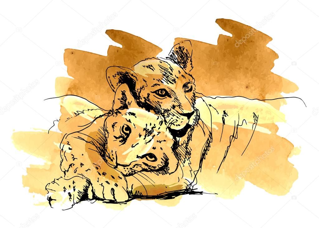 Colored hand sketch lioness with cub