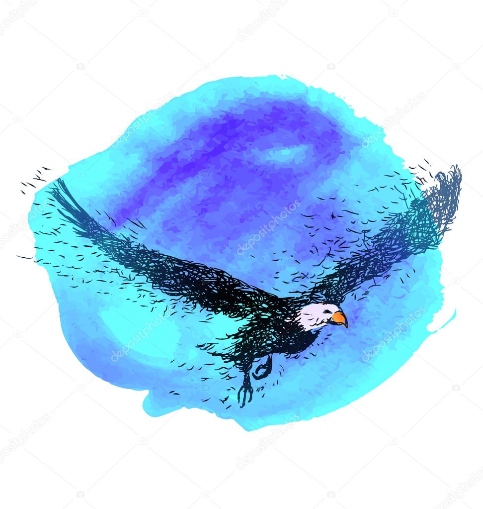 Illustration of a flying eagle