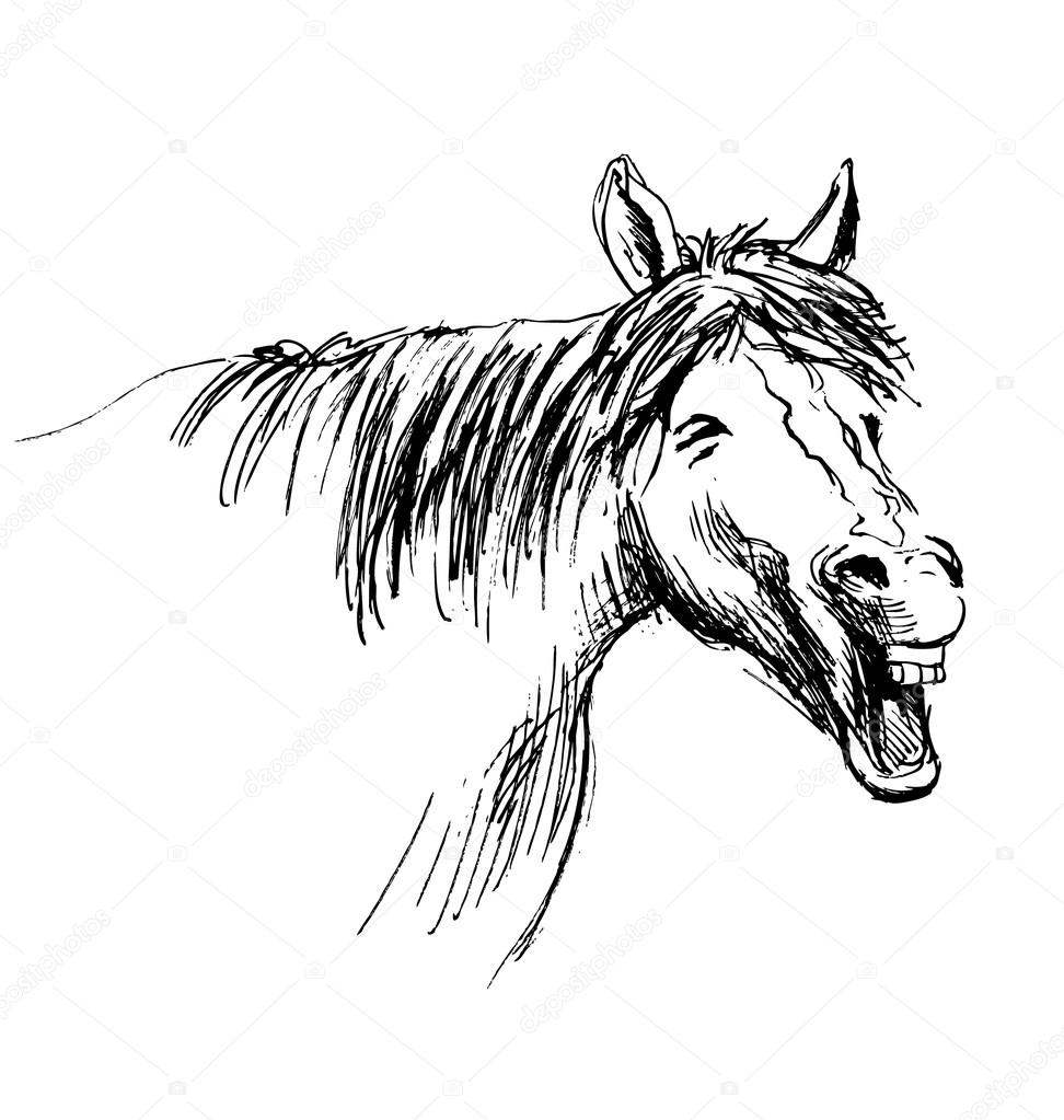 Horse with open mouth