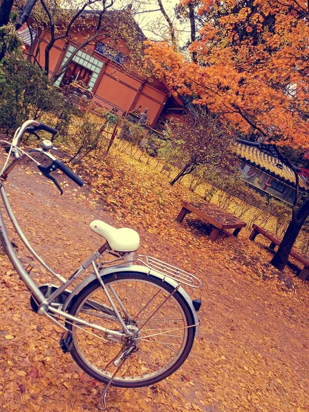 Sonbahar namı Adası