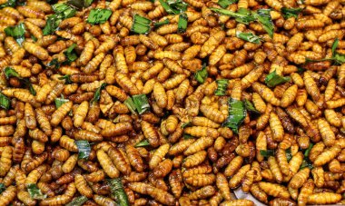 Fried Chrysalis, strange food But useful