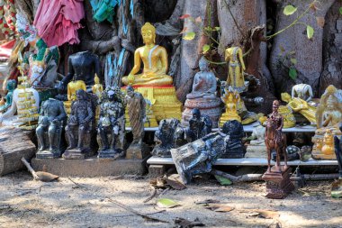 Kırık ve çürümüş bir Buda heykeli ve altın bir Buda heykeli açık bir alanda büyük bir ağacın altına bırakılmış..