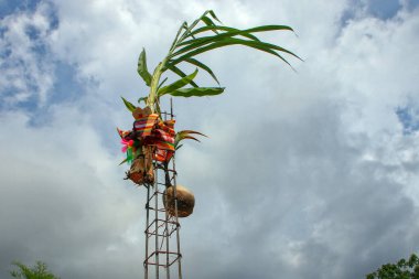 Hindistan cevizi ve muz ağaçlarıyla sarılmış renkli demir çubuklar geleneksel Tayland evlerinde kutsama törenlerinde kullanılıyor..