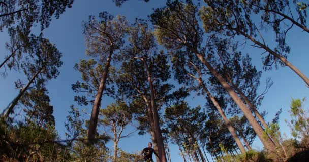 Atleta afro-americano saltando — Vídeo de Stock