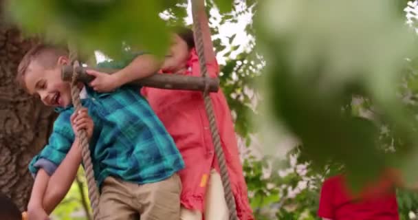 Enfants jouant sur une clôture et une échelle de corde — Video