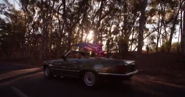 Menina segurando uma bandeira americana em uma viagem de carro — Vídeo de Stock