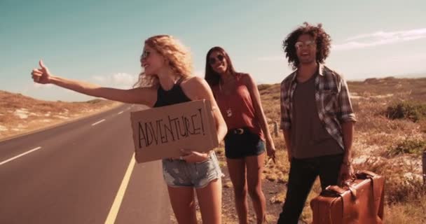 Hipster Multi-Ethnic Group Hitchhiking Together — Stock Video