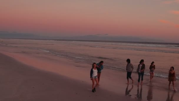 Gruppo di amici hipster che camminano sulla spiaggia — Video Stock