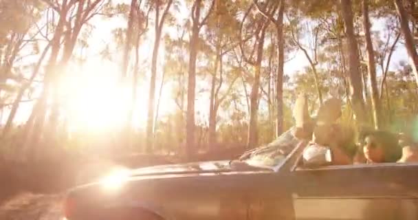 Menina relaxante no conversível durante uma viagem de carro — Vídeo de Stock