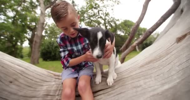 Niño y mascota cachorro sentado en el registro — Vídeos de Stock